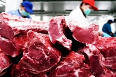 Con los salarios debajo de la línea de pobreza, cayó un 9,3% el consumo de carne